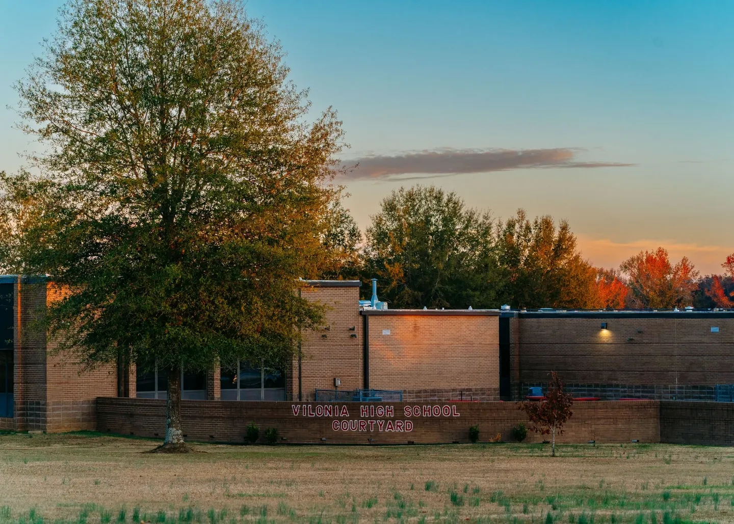 A building with a tree in front of it