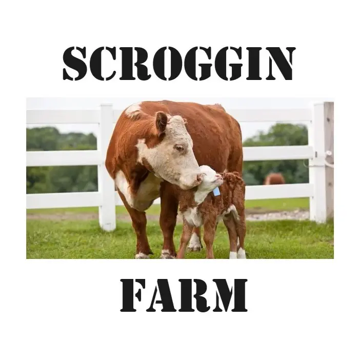 Scroggin Farm logo on the display